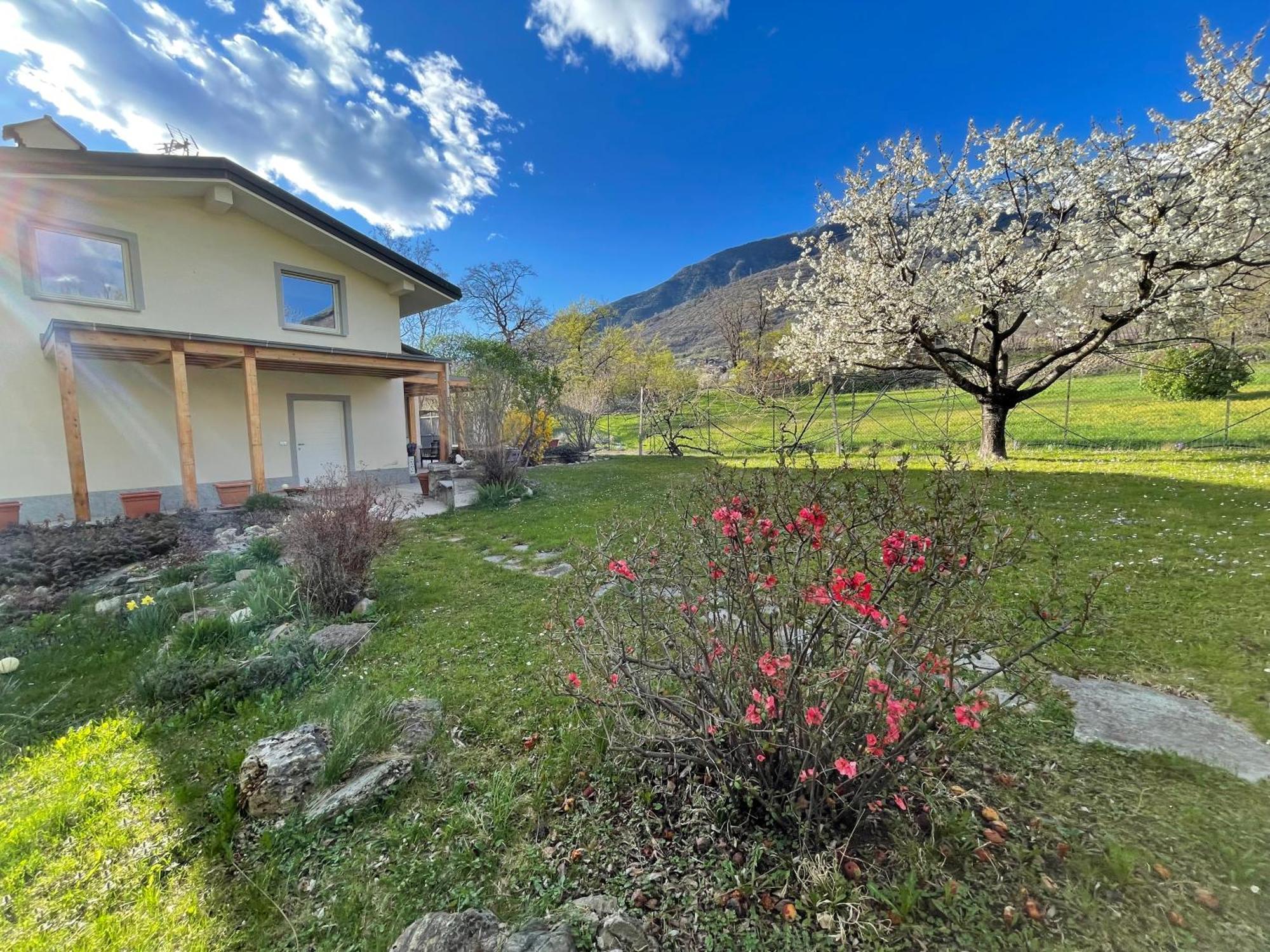 La Casina Di Oscar Ad Ao V Combe Vda Quart 0014 E 00I6 Apartman Kültér fotó